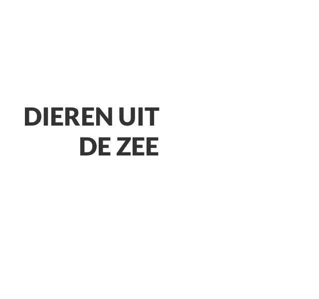 dieren uit de zee