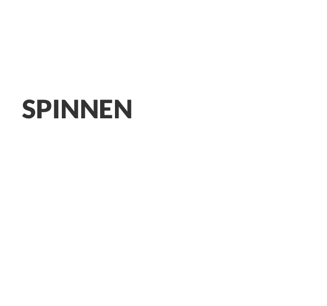 Spinnen