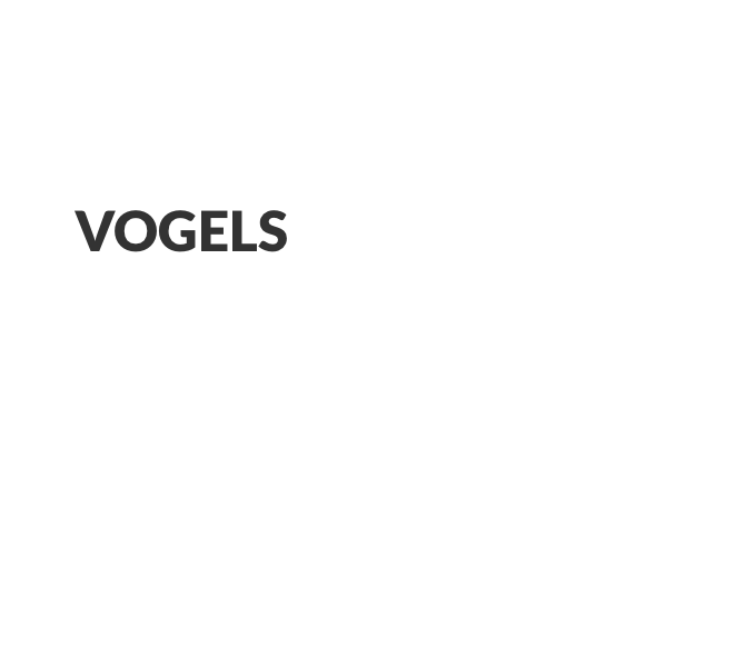 vogels