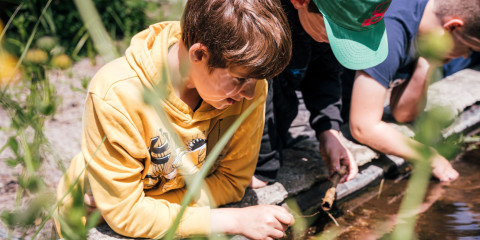 Kinderen ontdekken planten in Kina