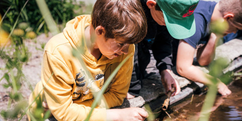 Kinderen ontdekken planten in Kina